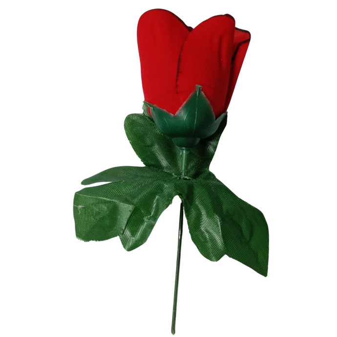 Deevaz Valentines Special Red Rose Flowers (Pack Of 1)